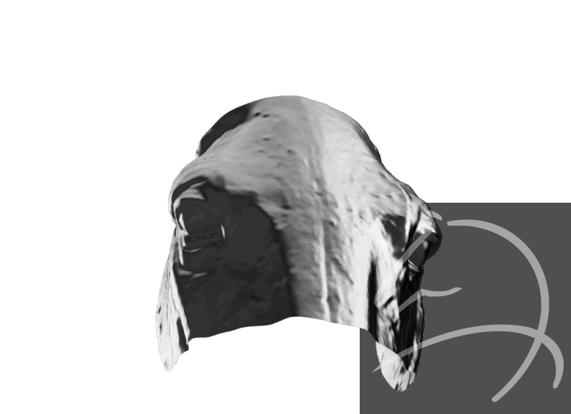 artandscience3